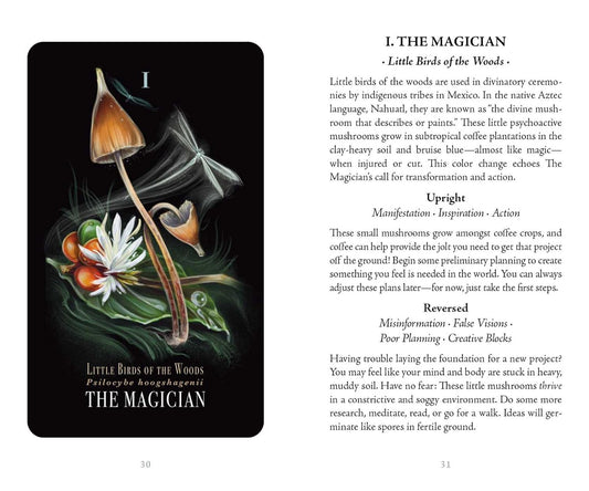 Midnight Magic Tarot